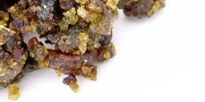 Boswellia Serrata Extract