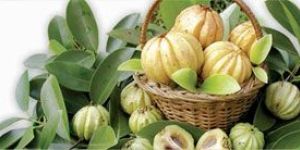 Garcinia Cambogia Extract