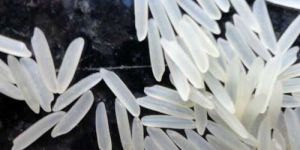 Polished Basmati Rice