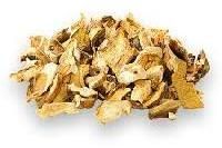 Dried Mushroom