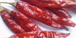 Teja Dried Red Chilli with Steam