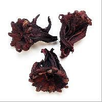 Dry Hibiscus Flower