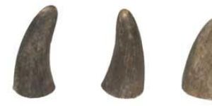 Buffalo Horn Toggles (ace-4628)