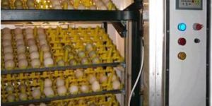 Egg Incubators