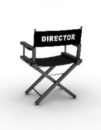Director Chair