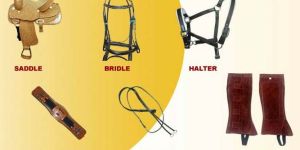 Leather Brown Horse Riding Accessories