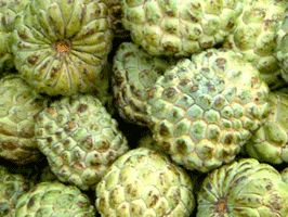 Custard Apple