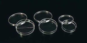 Petri Dish