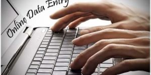 Online Data Entry