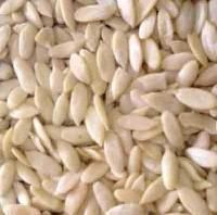 Muskmelon Seeds