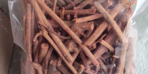 Rubia Cordifolia (Madder Root)