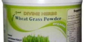Wheatgrass Powder