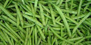 Fresh Gawar Beans