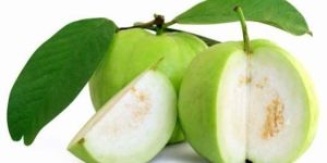 Fresh Guava