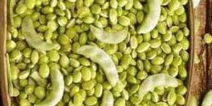 Fresh Surti Papdi Lilva