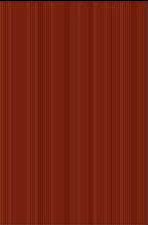 Glossy Series Wall Tile (19025 - DK)