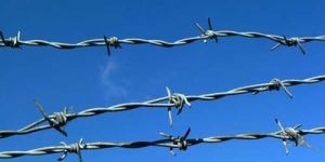 Barbed Wire