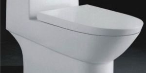 Single Piece Toilets