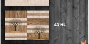 Digital Ceramic Wall Tiles 12x18 Inch