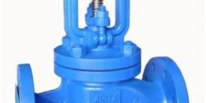 Bellow Seal Valve