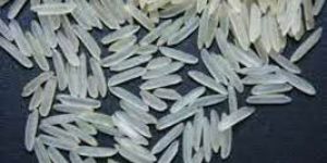 1121 Basmati Rice