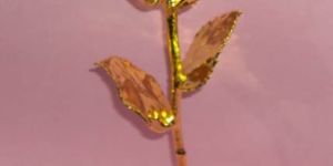 Gold Plated Roses (11 Inch.)