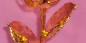 Gold Plated Roses (6 Inch.)