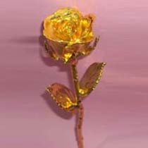 Gold Plated Roses