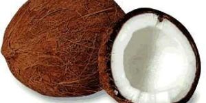 Coconut