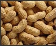 Groundnuts