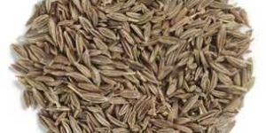 Cumin Seeds