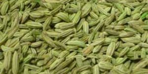 Fennel Seeds