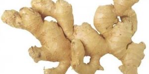 Ginger Root