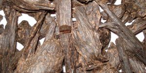 Agarwood Essential Oil