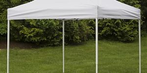 Portable Canopy
