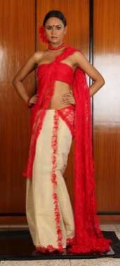 Net Sarees - Item Code : Nt 01