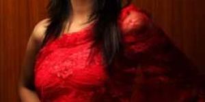 Net Sarees - Item Code : Nt 04