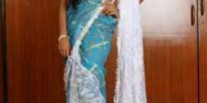 Net Sarees - Item Code : Nt 05