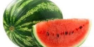 Fresh Watermelon
