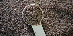 Psyllium Seeds