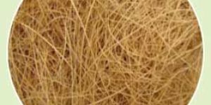 Coconut Fiber