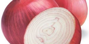 Onion