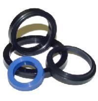 Piston Seals