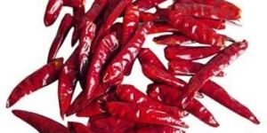 Dried Red Chilli