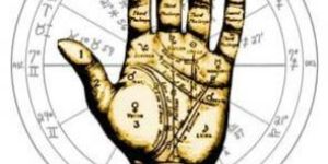 Palmistry Services