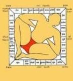 Vastu Consultant