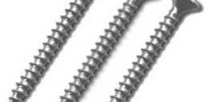 Stainless Steel Screws