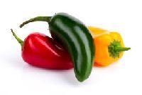 Jalapeno Pepper