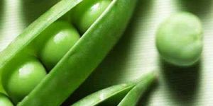 Green Peas
