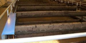 Dissolved Air Flotation System